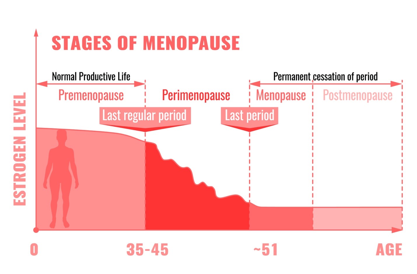Infographic illustrating the stages and symptoms of menopause, with the average estrogen levels.